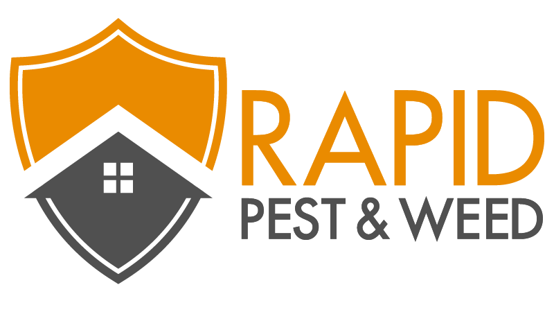 Rapid Pest Service || {{Commercial and Residential Pest & Weed Services in Phoenix metro area}}